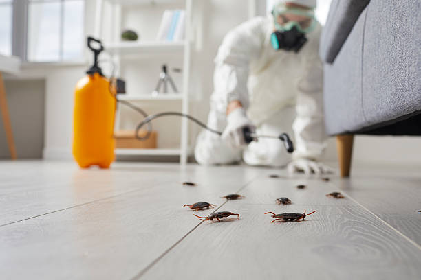 Commercial Kitchen Cockroach Control in Saddle River