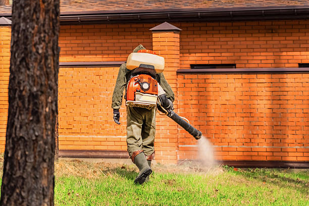 Cockroach Follow-Up and Monitoring in Saddle River